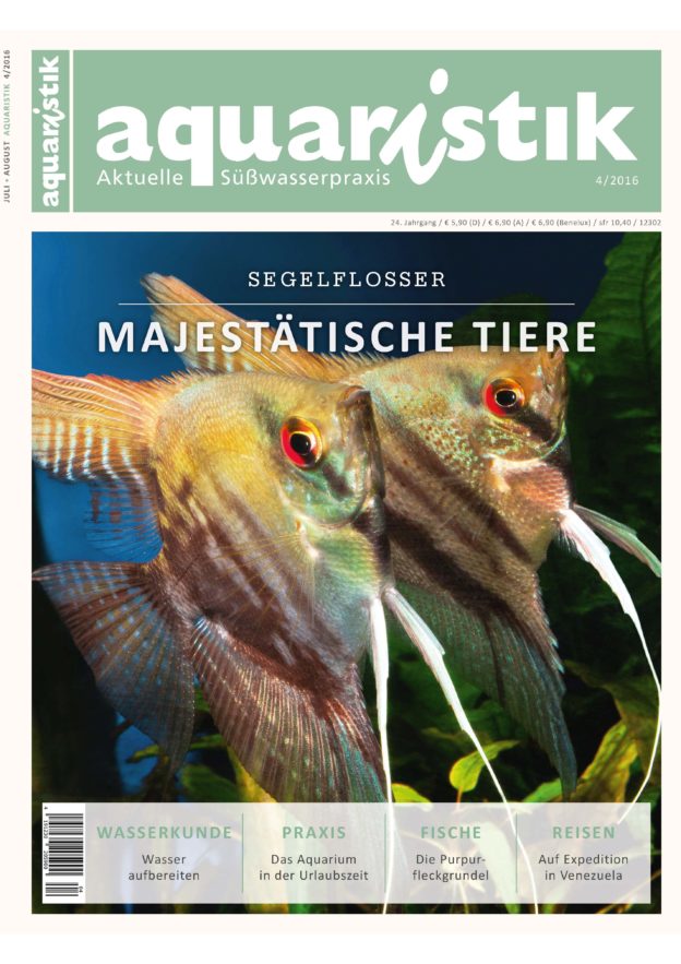 Aquaristik aktuelleSüßwasserpraxis 4 2016