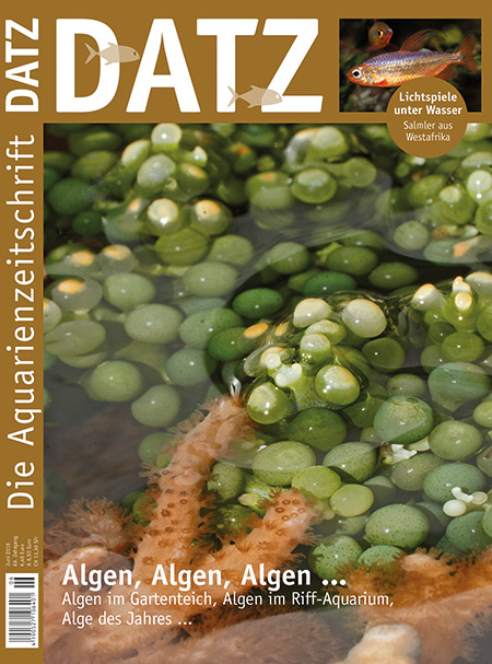 DATZ 2016 - 06 (Juni)