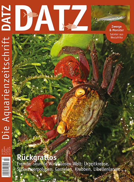 DATZ 2016 - 07 (Juli)