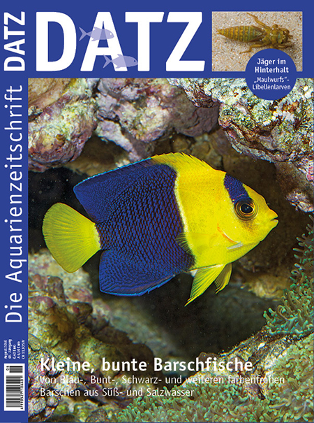 DATZ 2016 - 08 (August)