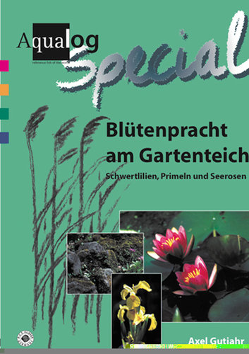 Blütenpracht am Gartenteich