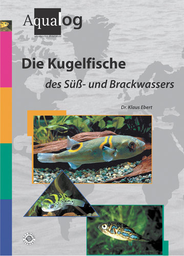 Die Kugelfische des Süß- und Brackwassers