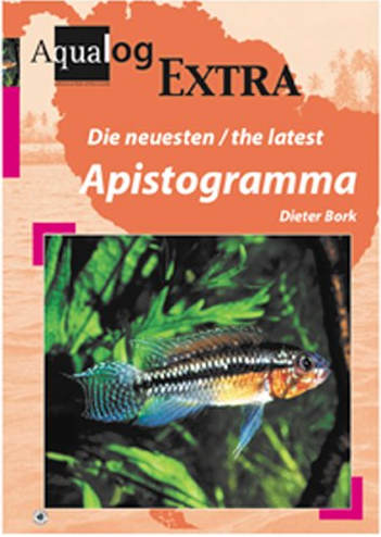 Die neuesten / The latest Apistogramma