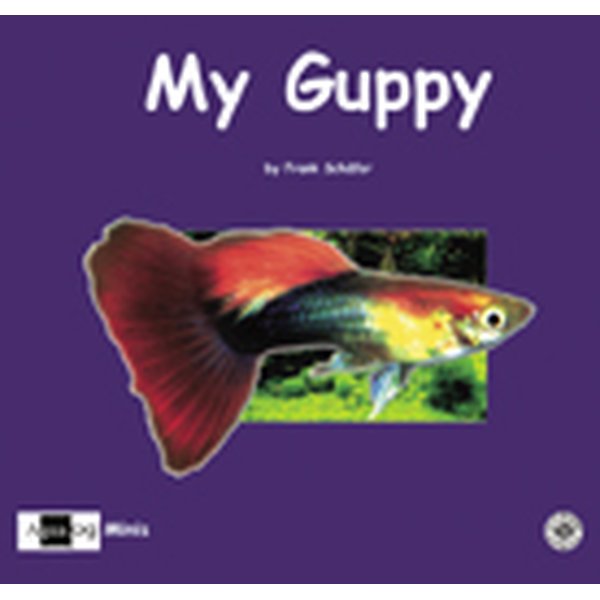 my guppy_1