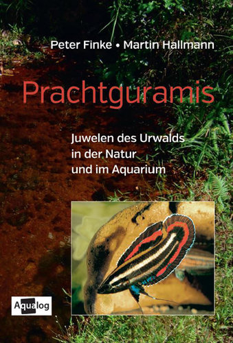 Prachtguramis - Juwelen des Urwalds in der Natur und im Aquarium