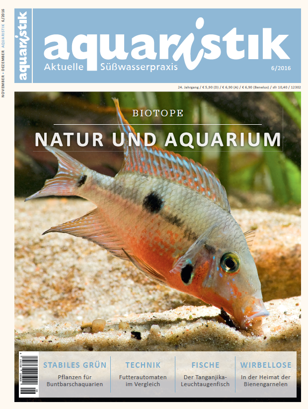 aquaristik-aktuelle-suesswasserpraxis-6-2016