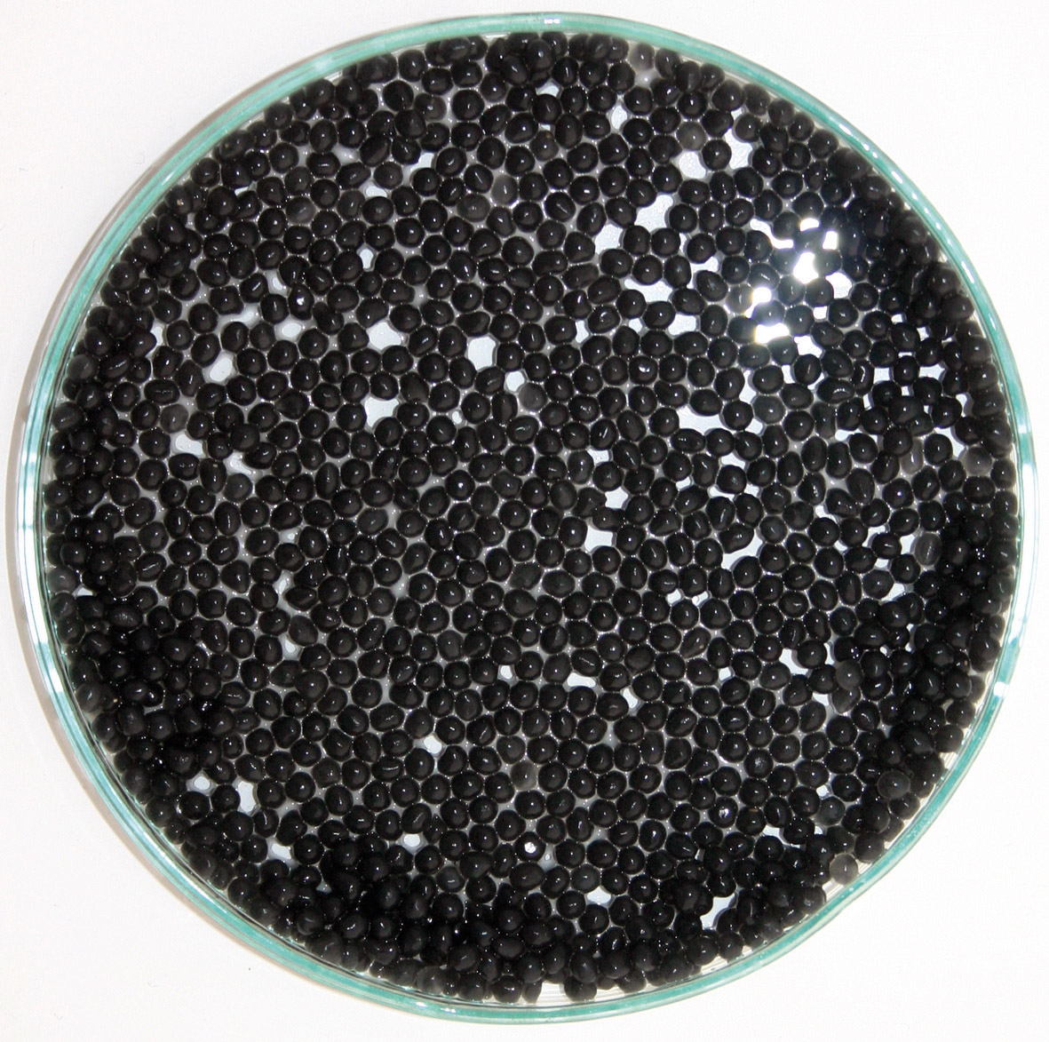 Die schwarzen Perlen enthalten Milliarden hochaktiver Bakterienkulturen. 