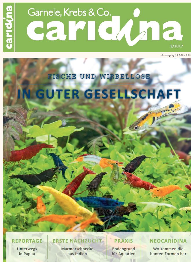 Caridina 3/2017 Aqualog.de
