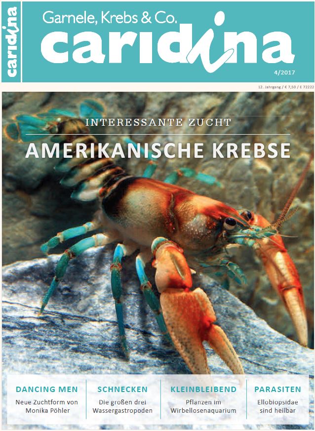 Caridina 4/2017 Aqualog.de