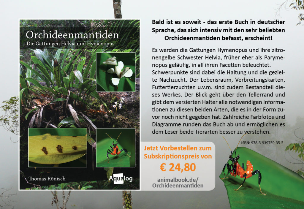 Orchideenmantiden-Buch