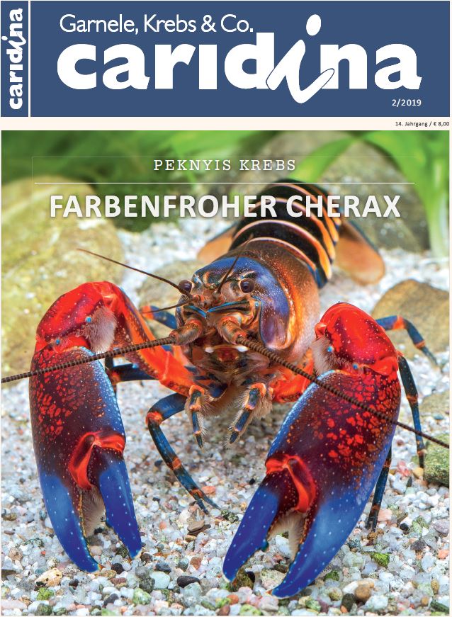 Caridina 2/2019 Aqualog.de