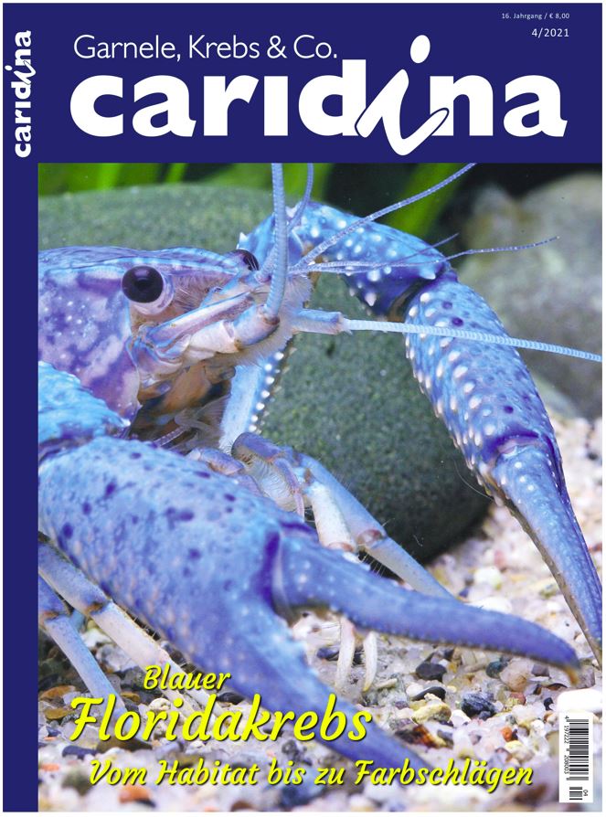 Caridina 4/2021 Aqualog.de