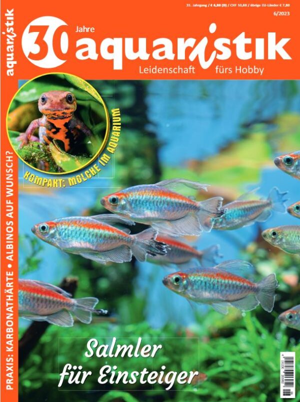 aquaristik 6/2023 Aqualog.de
